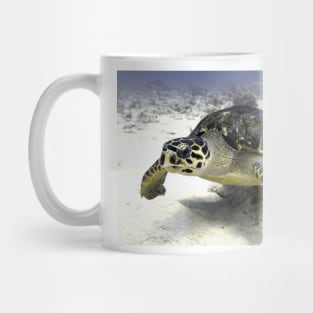 Caribbean Sea Turtle Mug